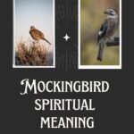 Real Spiritual Meaning of Mockingbirds